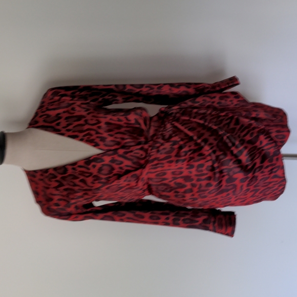 Zara Dress - Picture 1 of 11